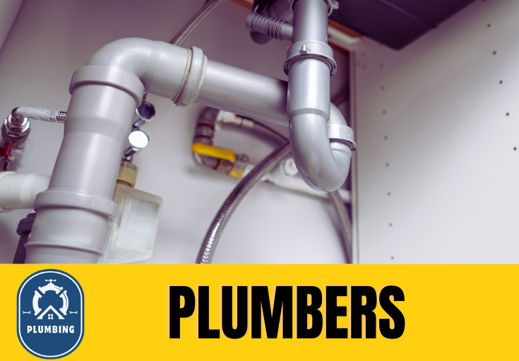  plumber Greenhithe